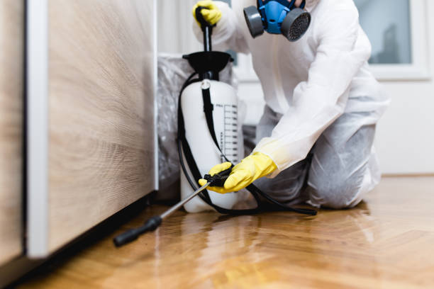 Best Wasp Removal Services  in Kings Bay Base, GA