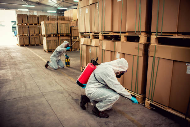 Best Pest Prevention Services  in Kings Bay Base, GA