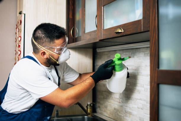Best Insect Control  in Kings Bay Base, GA