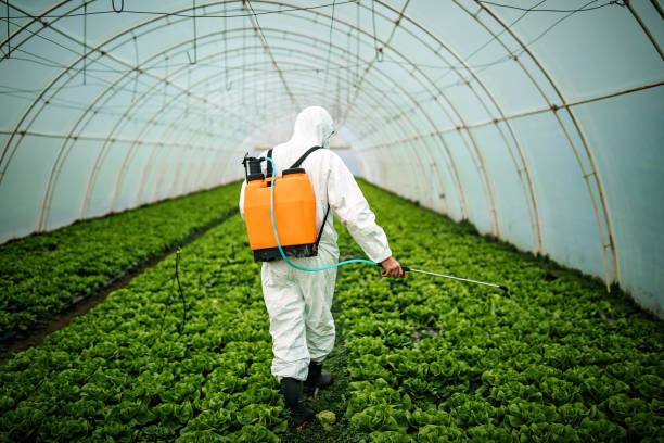 Professional Pest Control in Kings Bay Base, GA