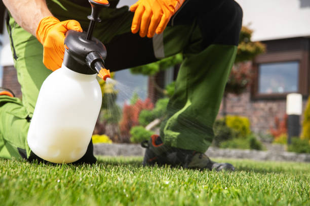 Best Pest Control Near Me  in Kings Bay Base, GA