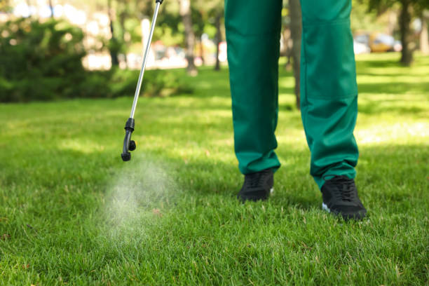 Best Emergency Pest Control  in Kings Bay Base, GA