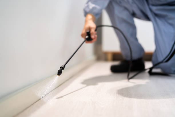 Best Commercial Pest Control Services  in Kings Bay Base, GA