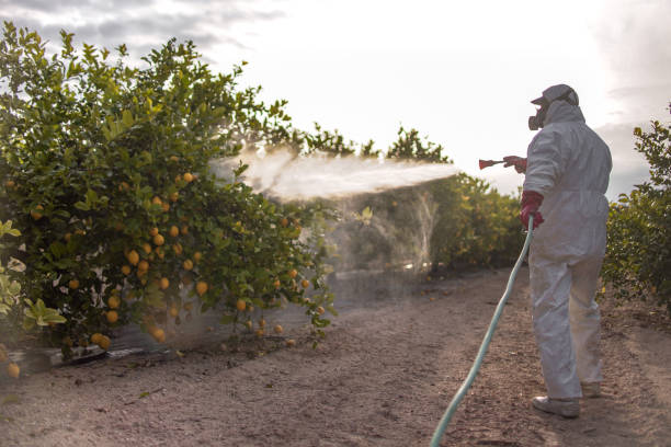Best Affordable Pest Control Services  in Kings Bay Base, GA