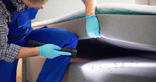 Best Best Pest Control Companies  in Kings Bay Base, GA