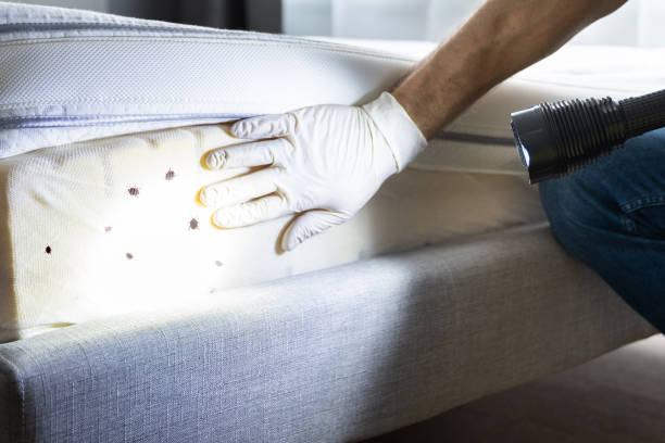 Pest Control for Restaurants in Kings Bay Base, GA