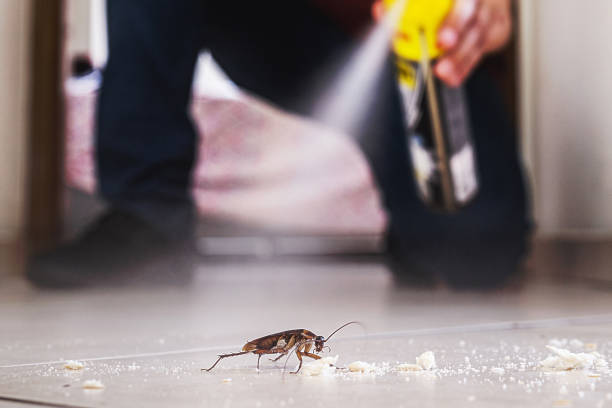 Best Affordable Pest Control Services  in Kings Bay Base, GA