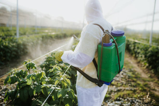 Best Best Pest Control Companies  in Kings Bay Base, GA